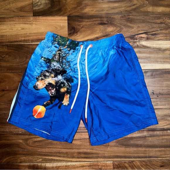 Sundek Swim Trunks - Picture 1 of 7